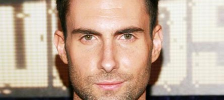 Adam Levine’s Hollywood Hills Home